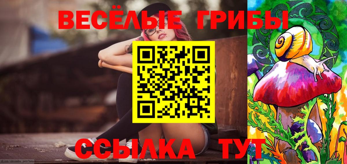 Псилоцибиновые грибы мухоморы Курчалой